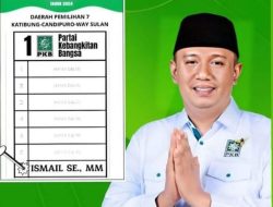 Ismail S.E,M.M Caleg DPRD Lamsel dari Partai PKB Davil 7 Memperoleh Suara Tertinggi